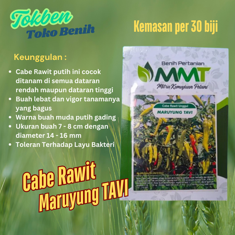 30 Biji - Benih Cabe Rawit Maruyung TAVI Tahan Virus Layu