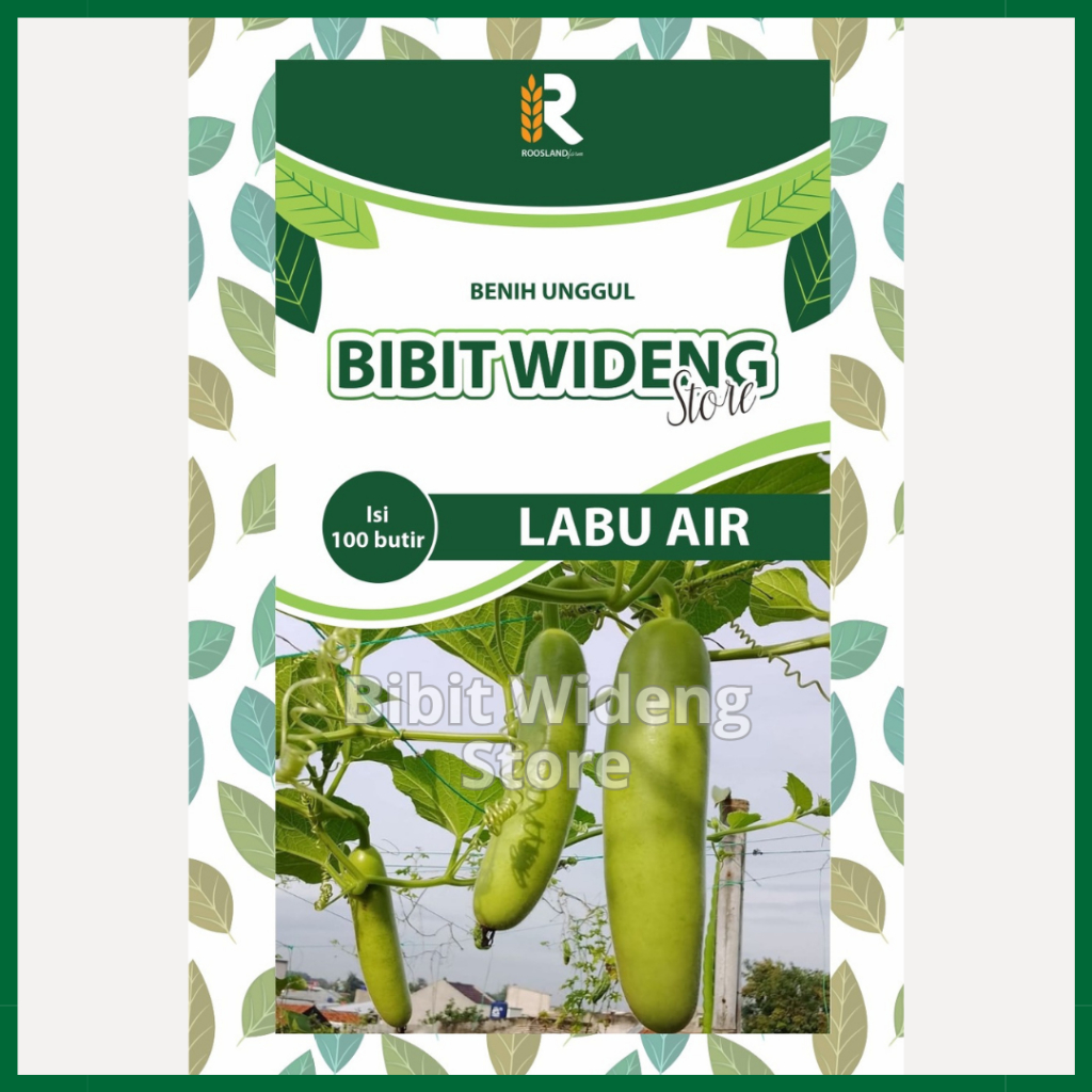 ( 100 BENIH ) LABU AIR PANJANG | LABU SAYUR | KALABAS | LABU AIR HIJAU