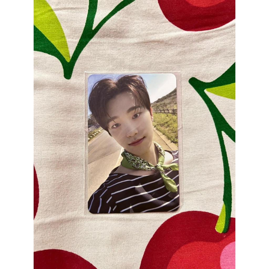 (OFFICIAL) PHOTOCARD SEVENTEEN DINO ALBUM HENGGARAE