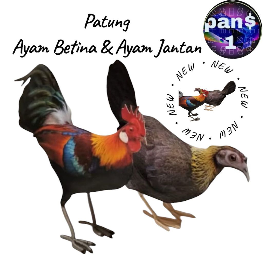 boneka patung jontrot ayam hutan