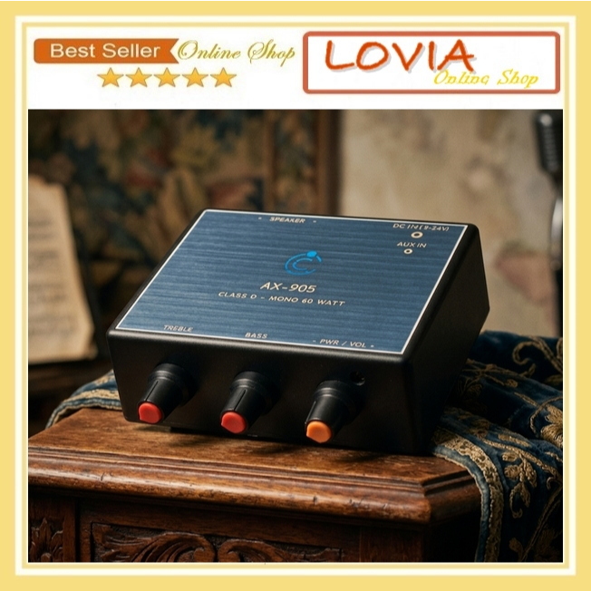 Amplifier Rakitan Class-D Mono 1 Channel 60 Watt Power Miniatur Siap Pakai AX-905