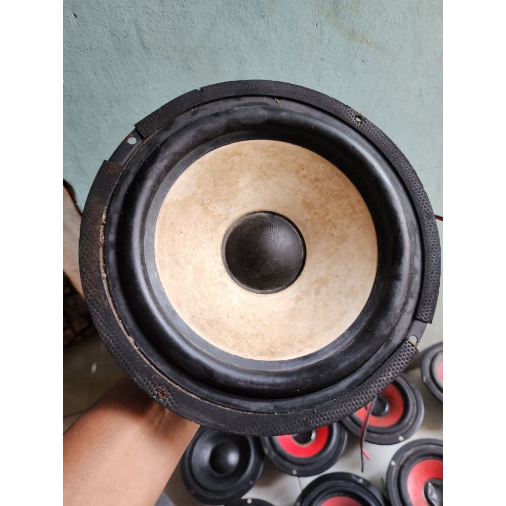 Speaker polytron 8 inch copotan normal