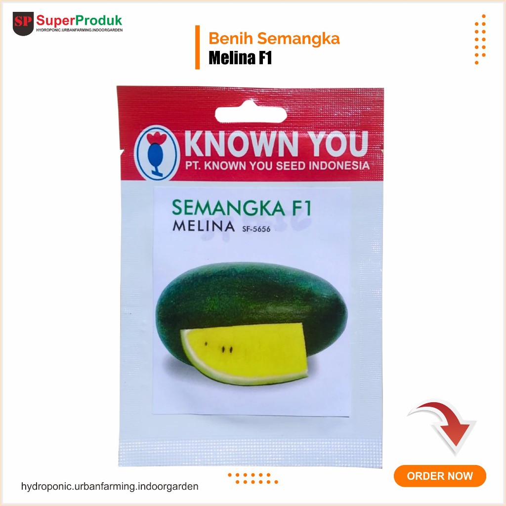 Benih Semangka Melina 10 seed Known You Seed Kys