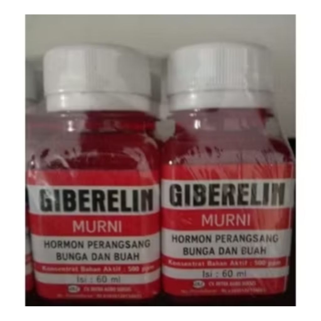 ZPT Giberelin 60 ml - Murni 500 ppm, Merangsang Pembungaan & Pembuahan Tanaman