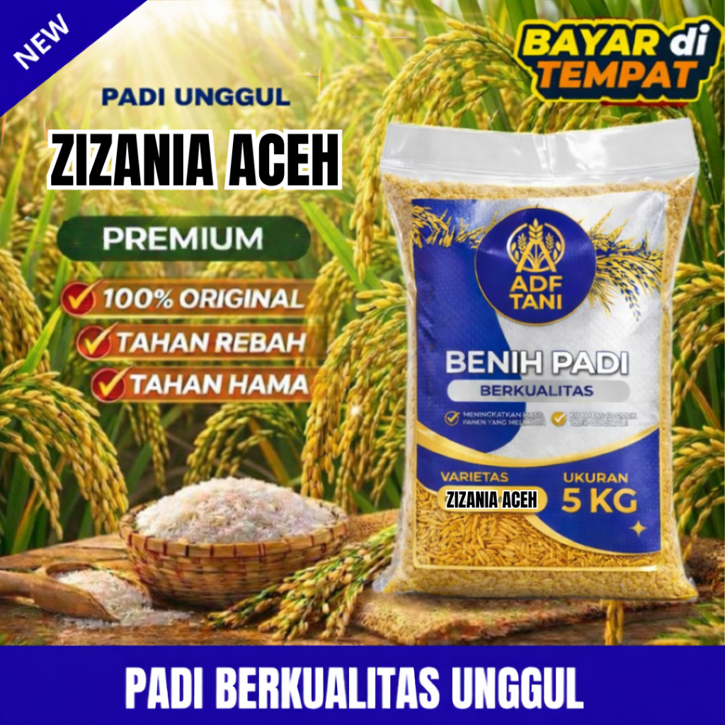 Benih bibit | benih padi unggul zizania aceh original kemasan 1-5kg
