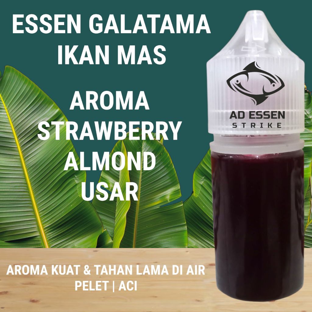 Strawberry Almond Usar-Esen ikan Mas Galatama induk babon-umpan pancing