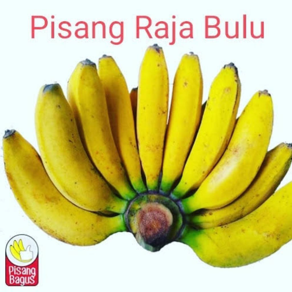 paket pisang uli dan pisan raja puluh..per 1 sisir
