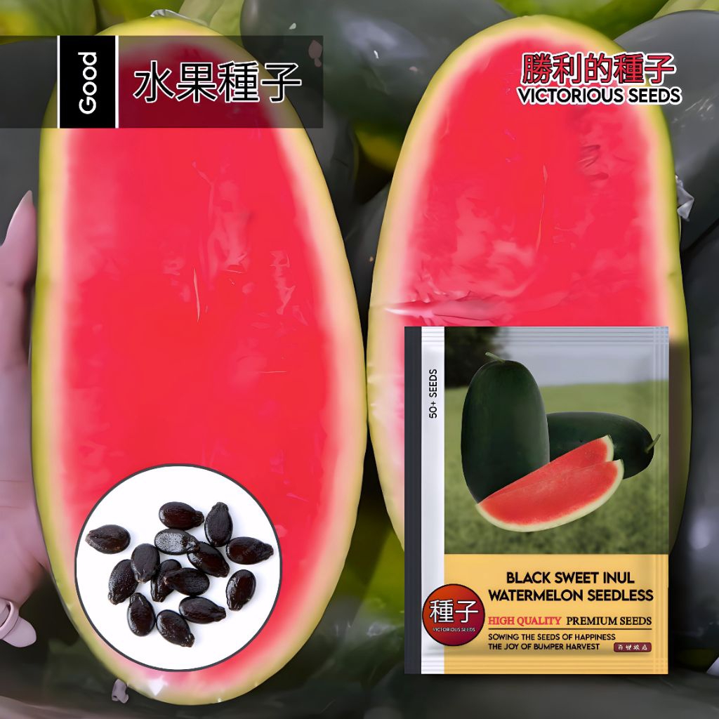 50 Butir Benih Semangka Black Sweet Inul Non Biji F1 | Tanpa Biji Super Merah | Renyah & Manis