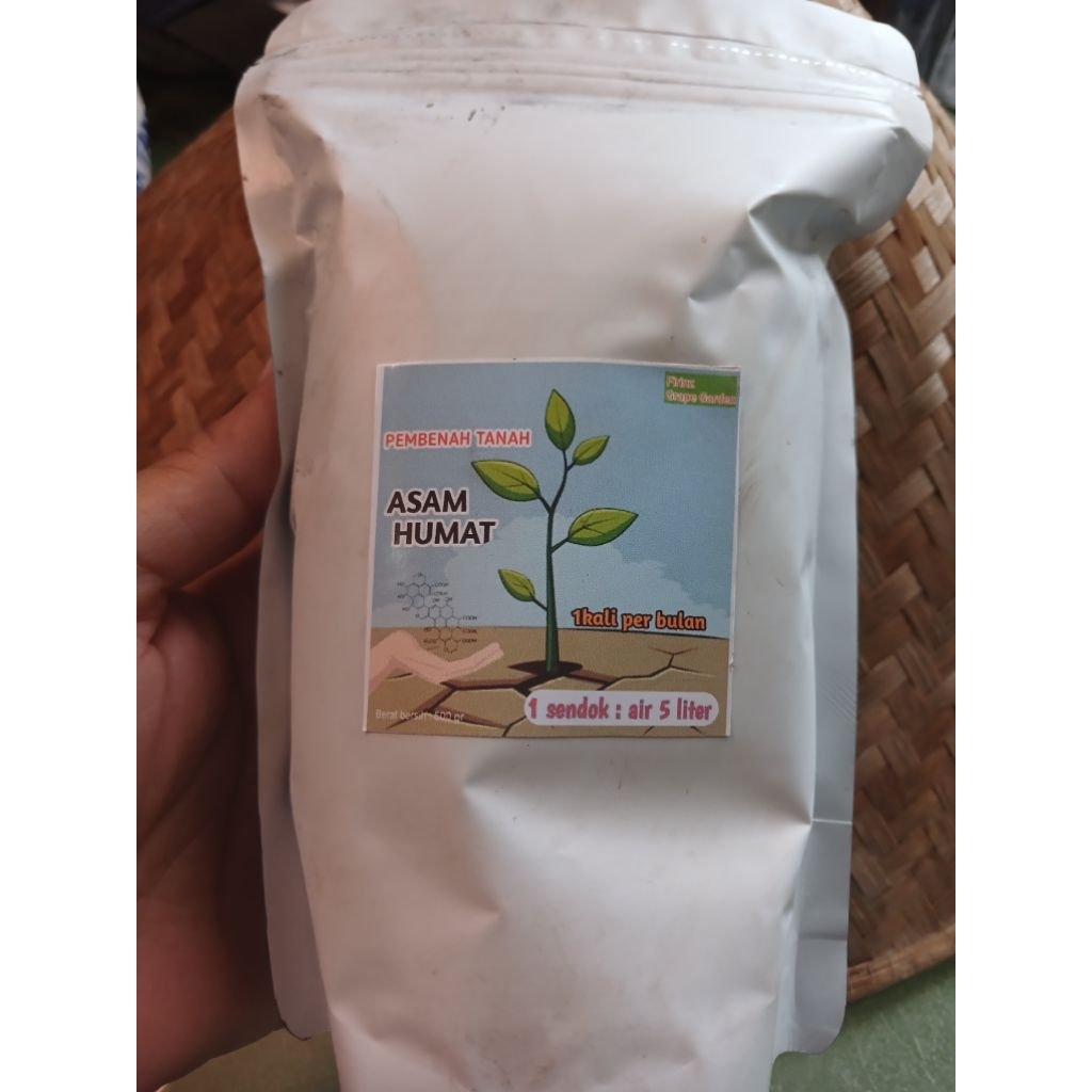 ASAM HUMAT 500 Grm