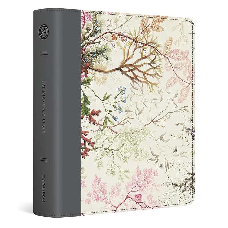 ESV Journaling Bible English Standard Version