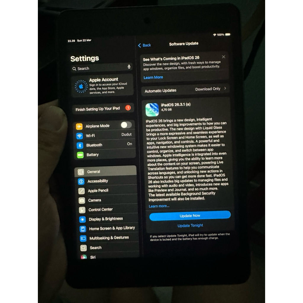 ipad mini 5 256gb wifi only hp charger ori