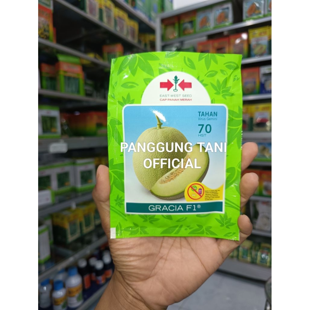 Benih Bibit Melon Gracia F1, Tipe Melon Madu, Tahan Kresek Dan Virus, (Pangganti benih Alina OFF tid