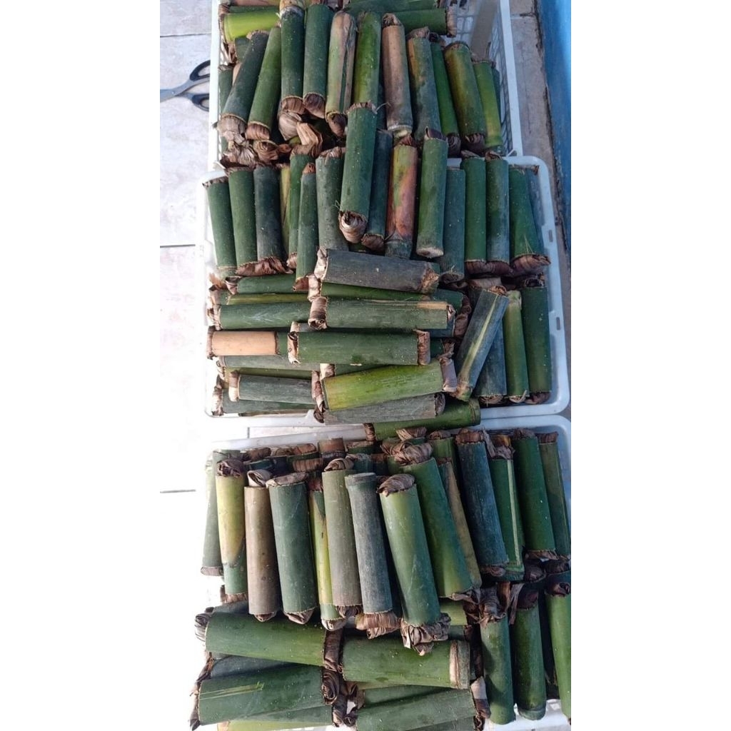 umpan pancing(ulat bambu) isi. 30.