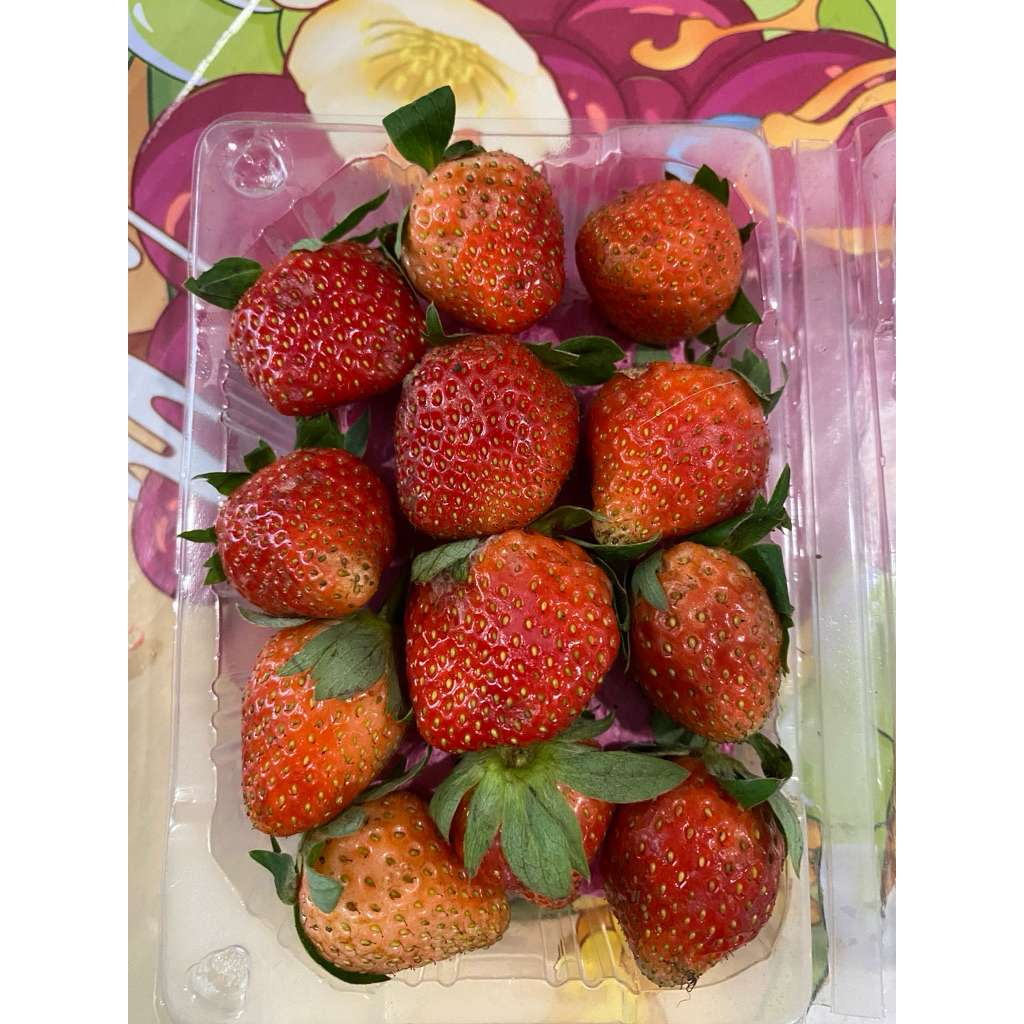 Strawberry Bandung Ciwidey  - Segar Manis Garing