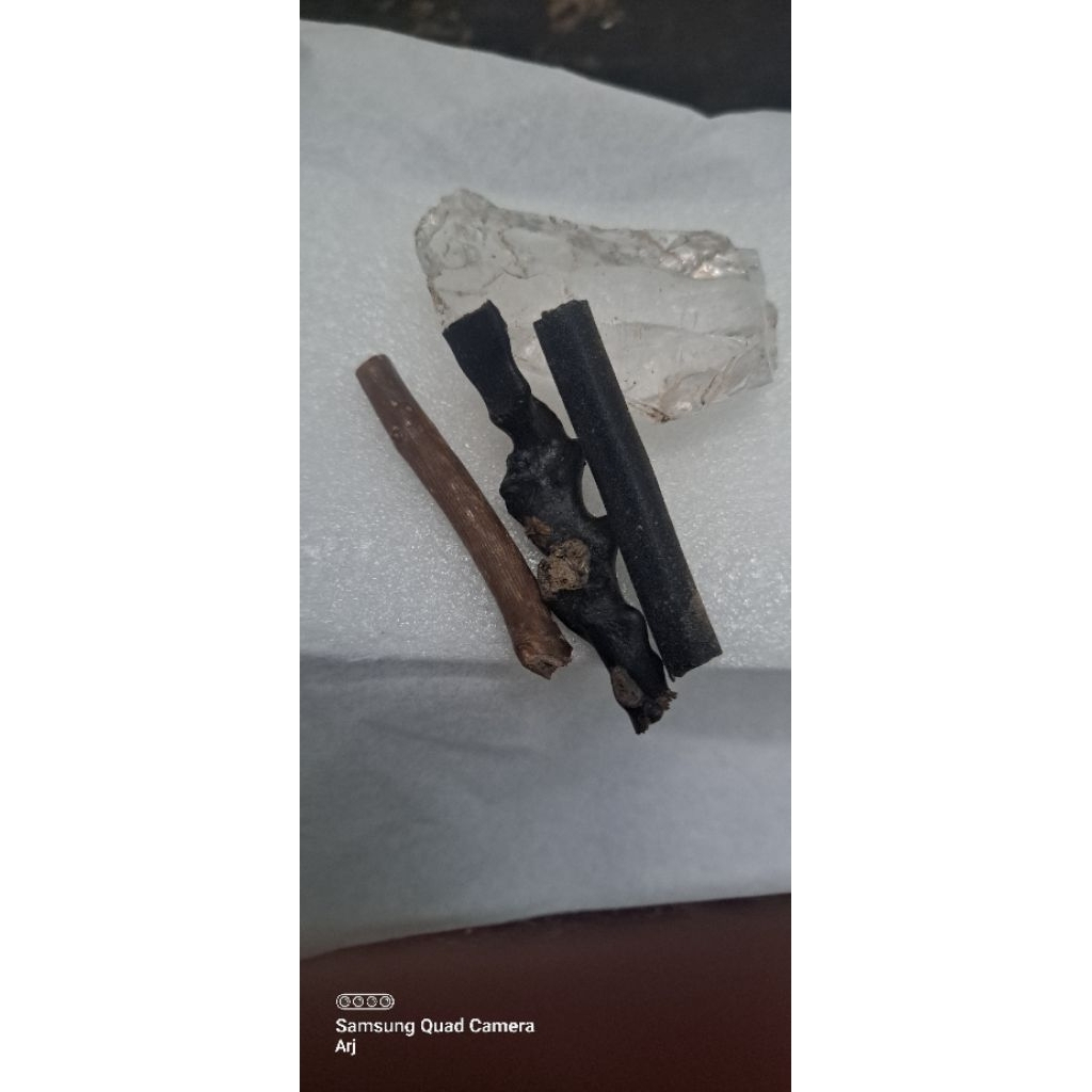 Akar Bahar Uli Hitam Uli Gadang Nusa Kwahwah Alami Alam Untuk Liontin Pria atau Hiasan Meja