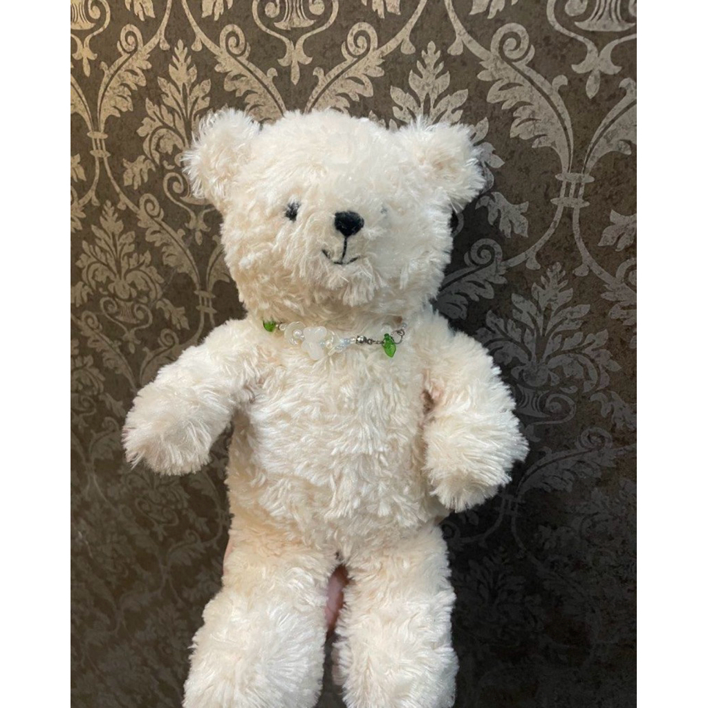 teddy house