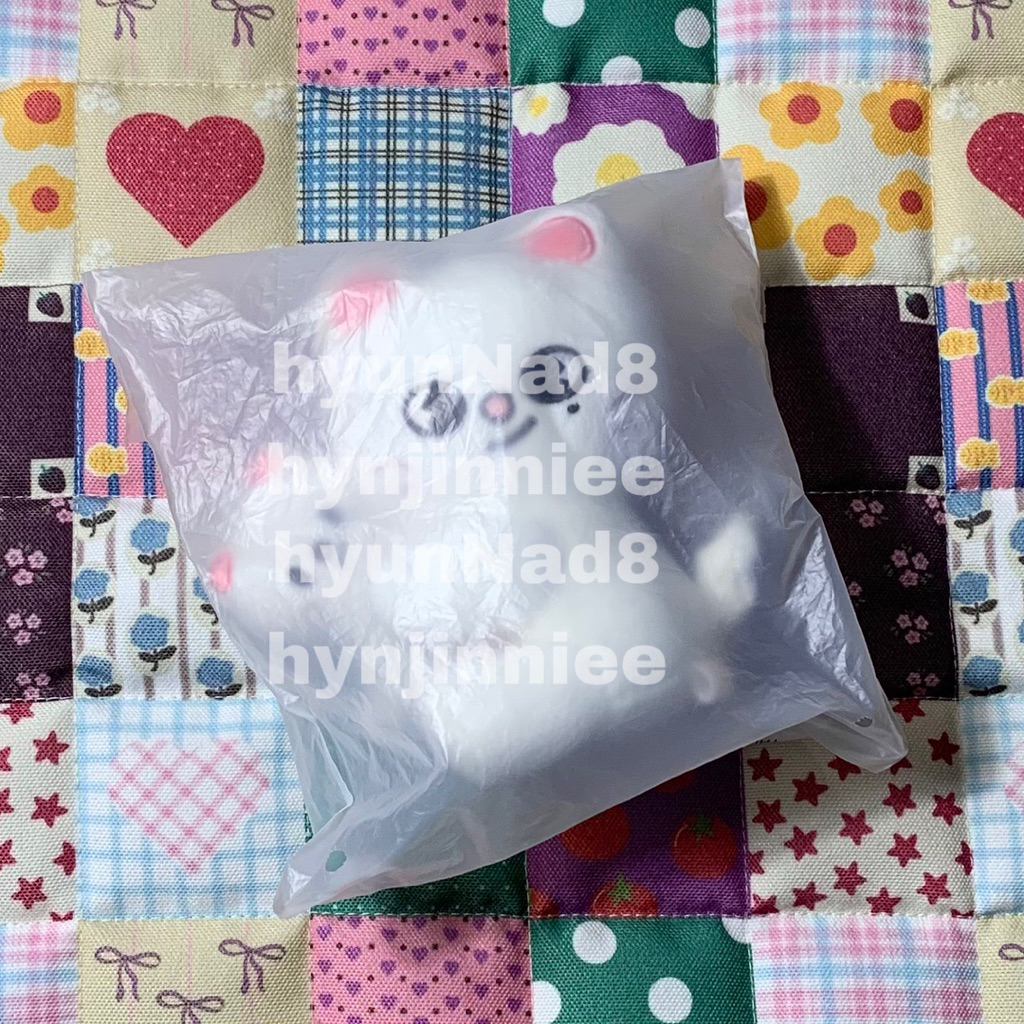 [READY STOCK] SKZOO CelebrAte Jiniret Magnet Plush Set Sealed Merchandise MD