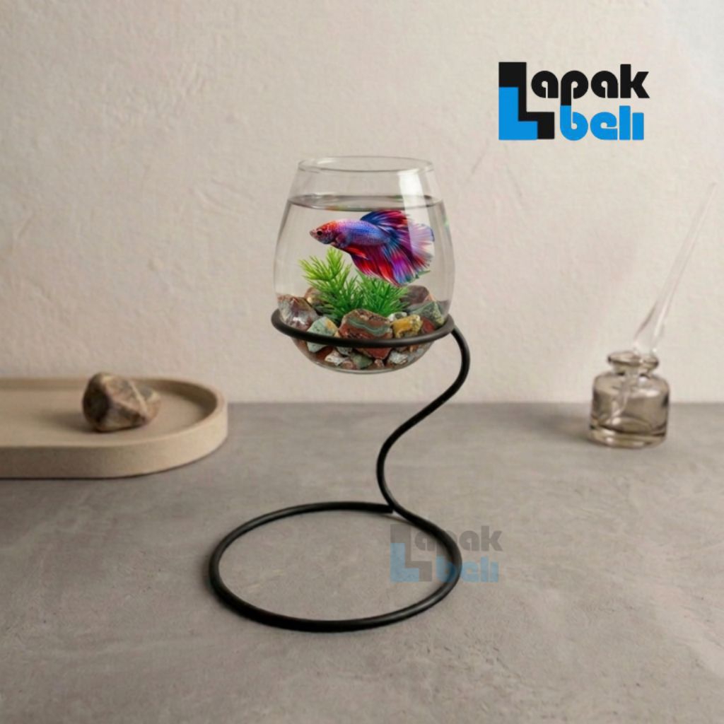 Akuarium Aquarium Mini Cupang dan Asesoris full set / Bisa untuk aquascape ( COD BAYAR DITEMPAT )