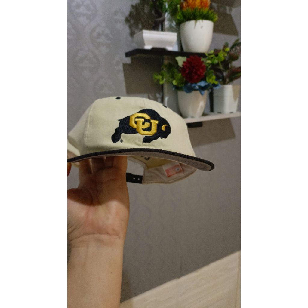 Topi Vintage Bills Colorado