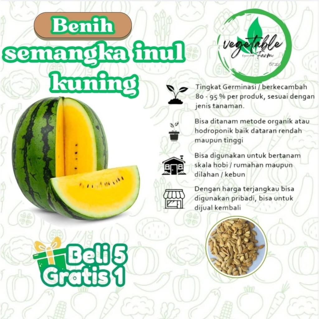 5 BIJI -Benih semangka inul kuning / bibit semangka inul / semangka inul kuning