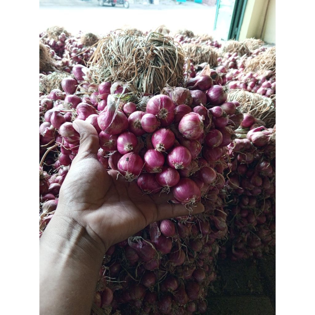 Bawang Merah Probolinggo