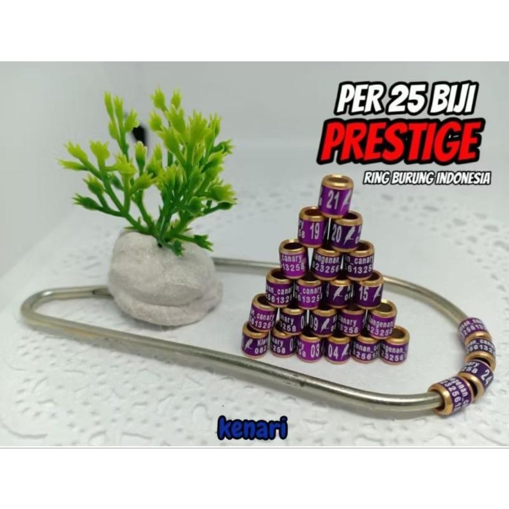 RING LASER MK+LOGO BISA BUAT BURUNG MURAI TRUCUK MERPATI NURI PERKUTUT LOVE BIRD KACER CUCAK IJO CEN