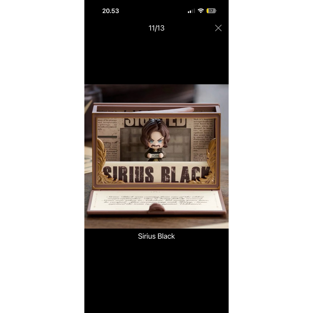 POP MART HARRY POTTER - SIRIUS BLACK