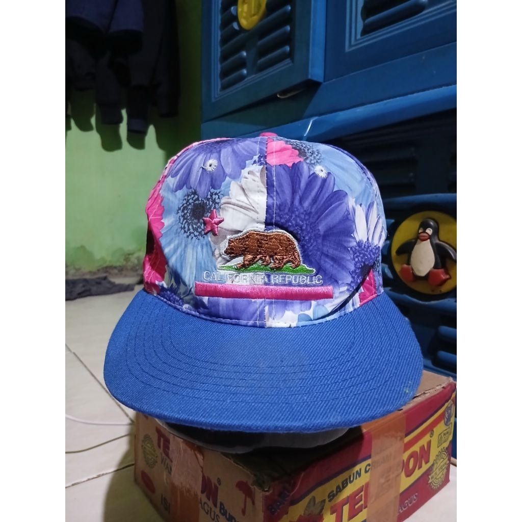 topi AOP