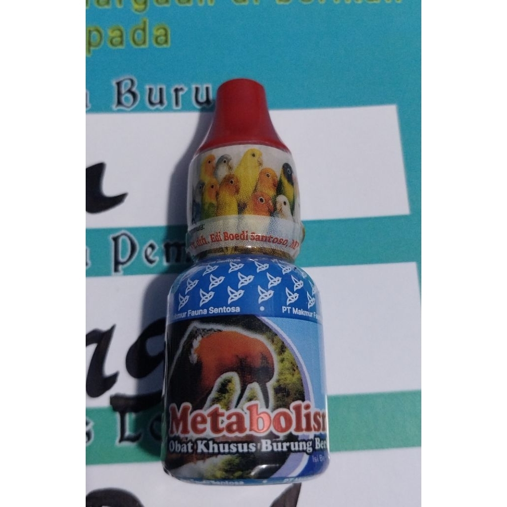METABOLIS dr Edi