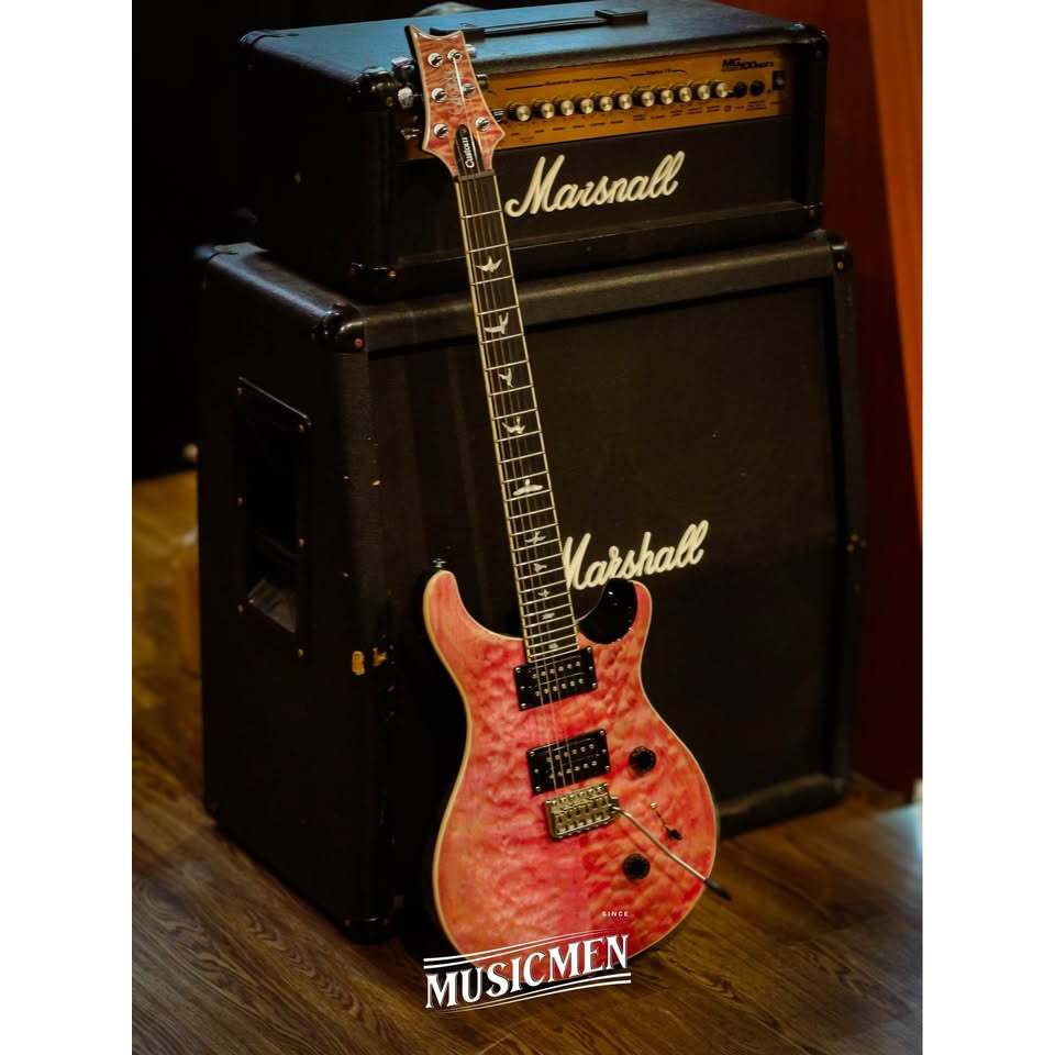 PRS SE Custom 24 Quilted Maple Top Violet