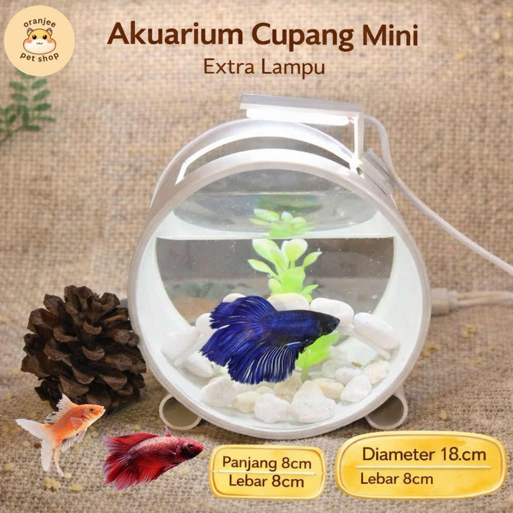 Akuarium Cupang Mini Bulat Extra Lampu & Dekorasi (Belum termasuk ikan)
