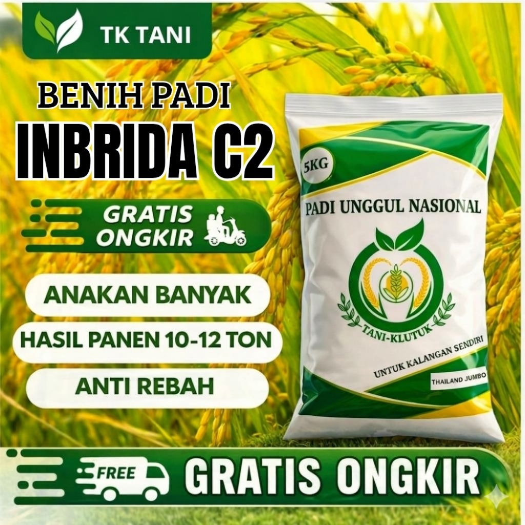 BENIH PADI UNGGUL BERKUALITAS INBRIDA C2 100% ORIGINAL