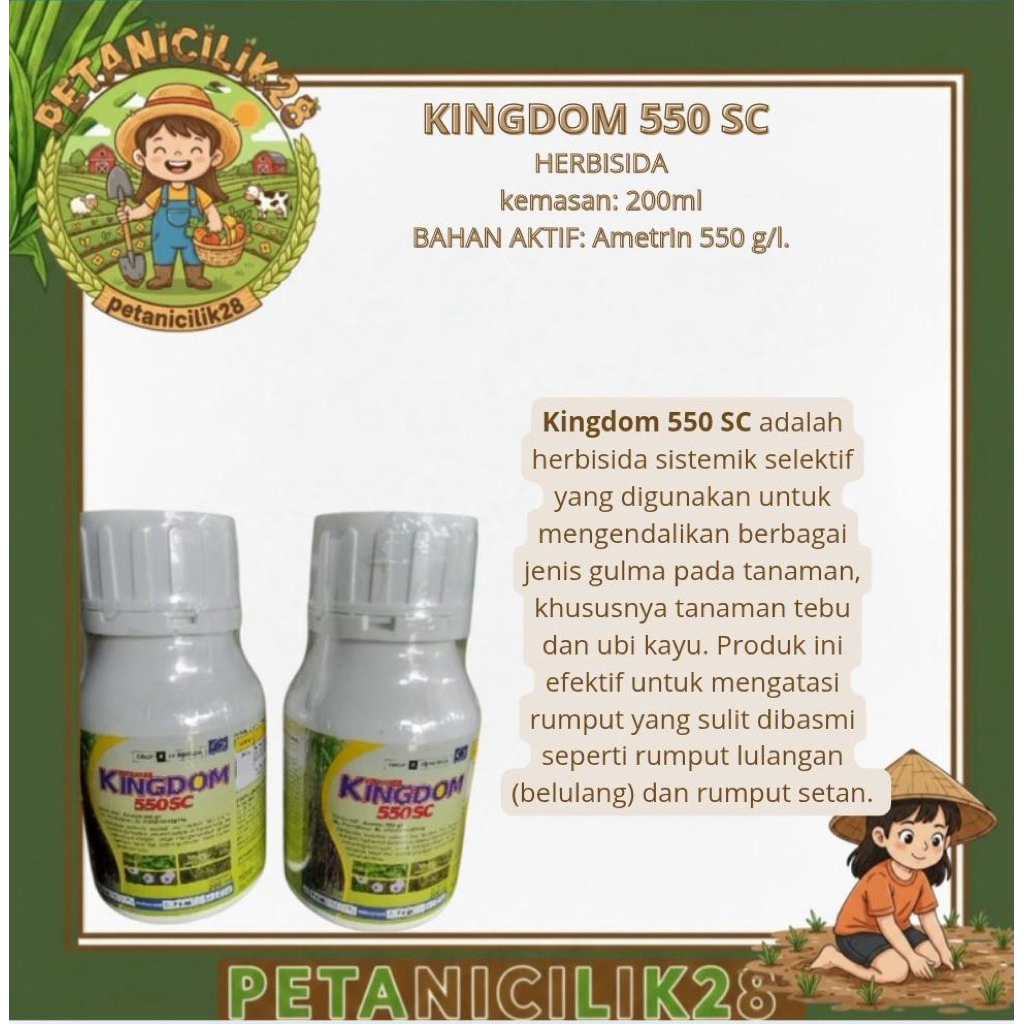 500Ml herbisida Sistemik Kingdom 550 SC - Kontrol Gulma Tanaman Tebu, Mudah Digunakan