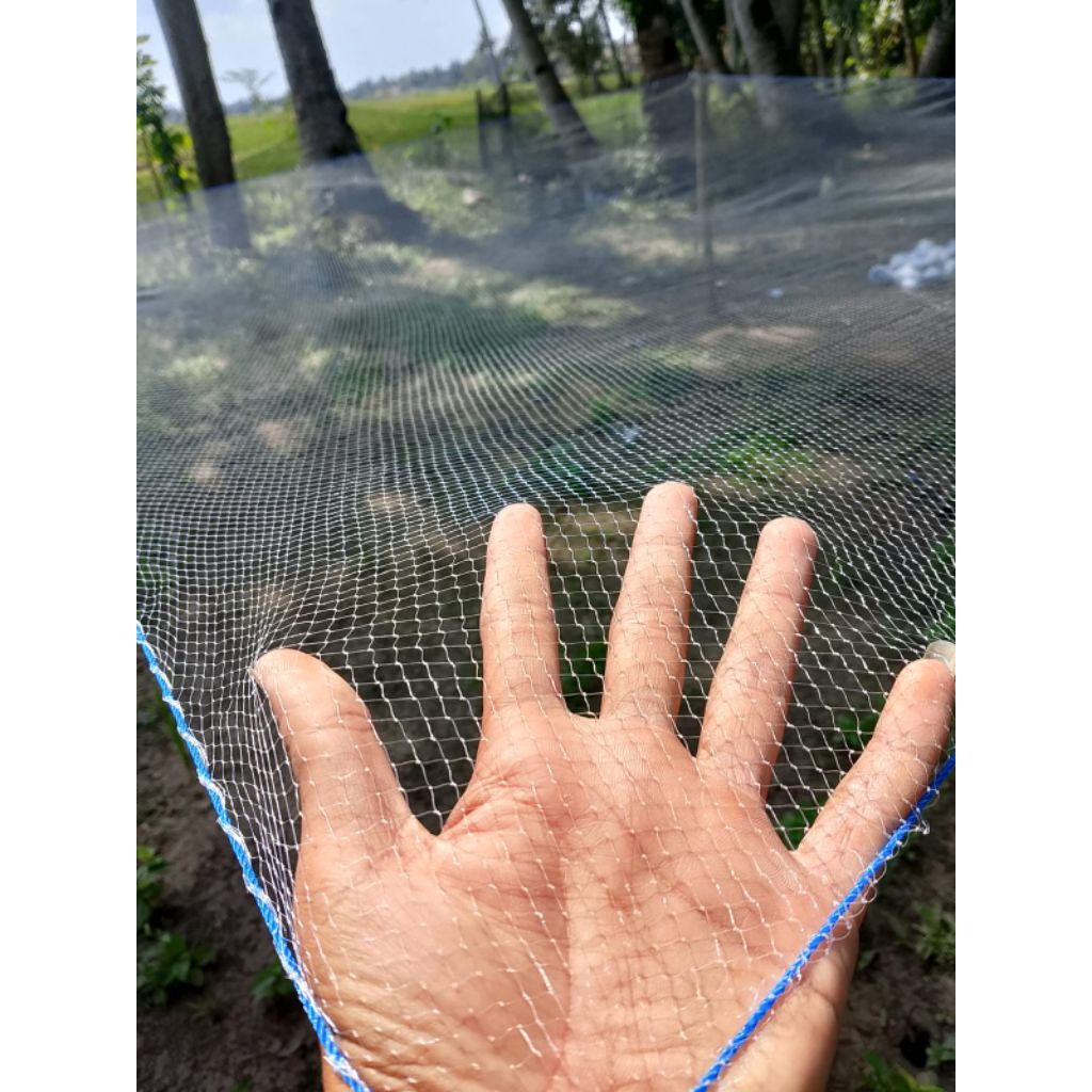 Anco wader lubang 3/8 inch lebar 2×2 meter  senar 0,15m untuk udang dan ikan teri ,jaring wader