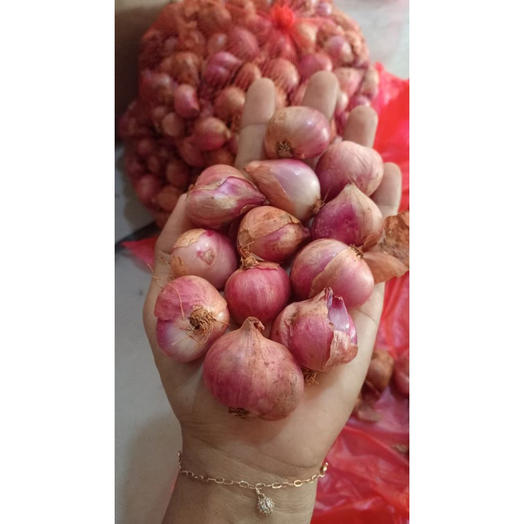 BAWANG MERAH BESAR 1KG