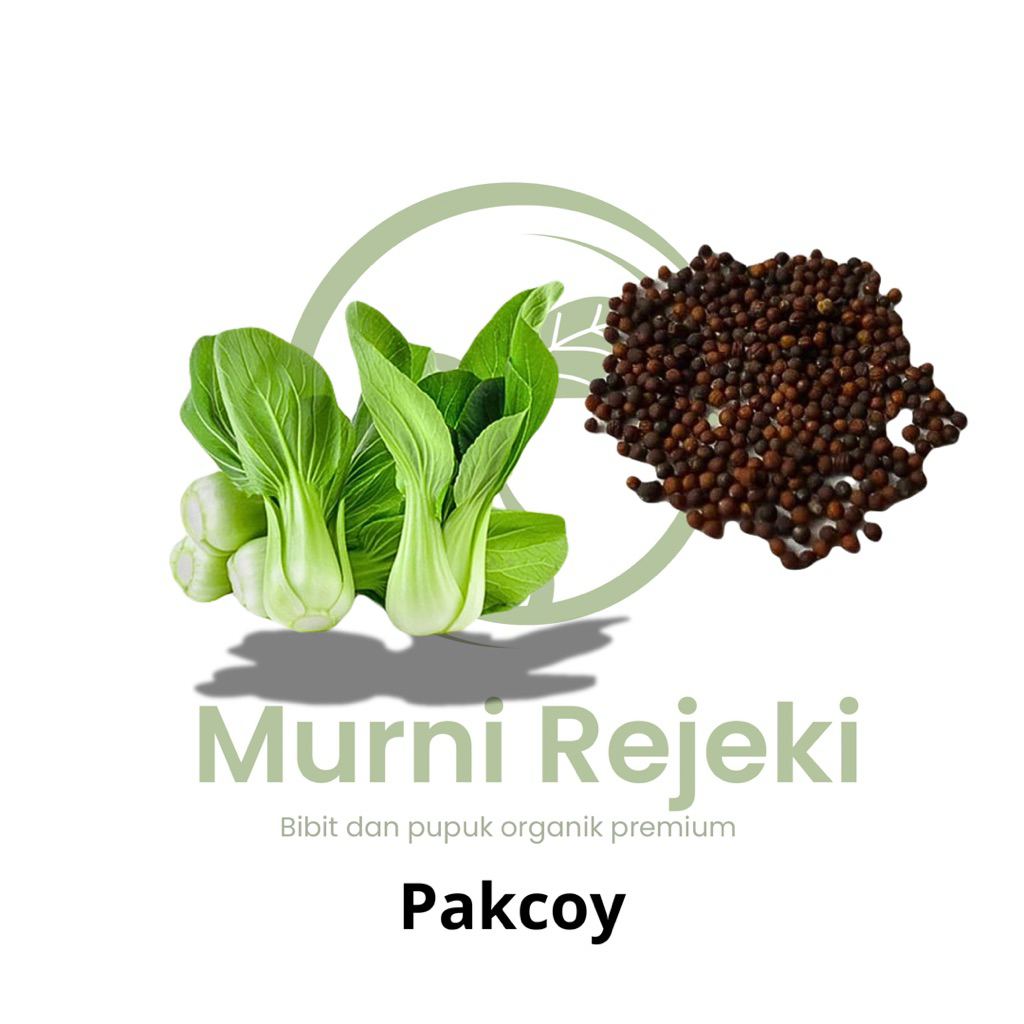 Benih bibit pakcoy / Benih hidroponik bibit sayuran premium