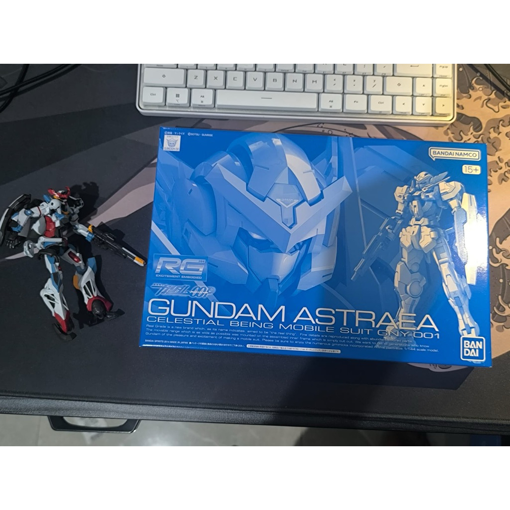 RG GUNDAM ASTAREA (expansion part)