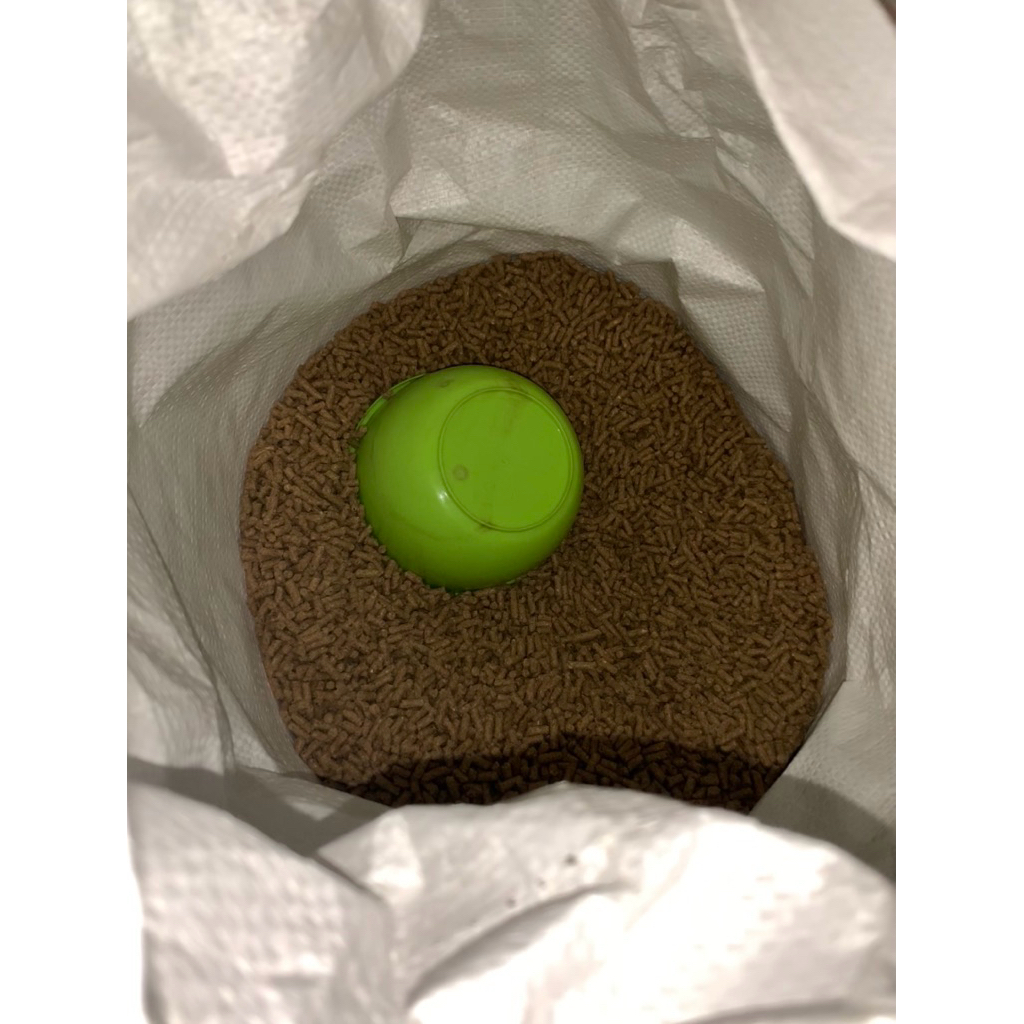 Pakan Kelinci