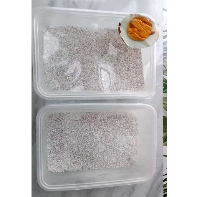 CANGKANG TELUR HALUS BERSIH