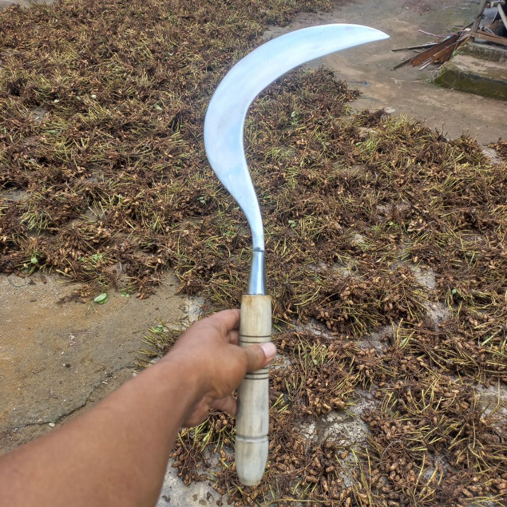 buat ambil rumput, sabit atau arit super