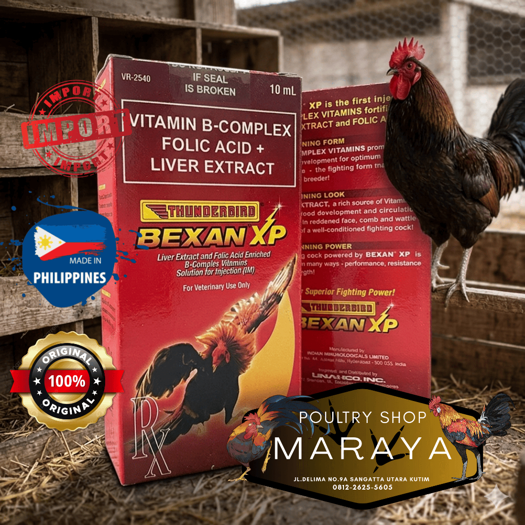 Bexan XP Ayam Aduan/Laga 100 Ml Untuk Stamina Dan Performa