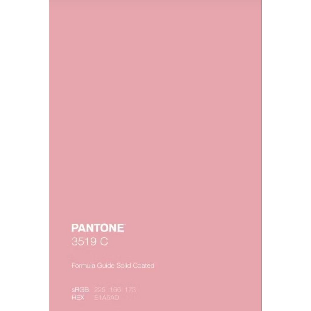 background studio foto pink UK 3x6m