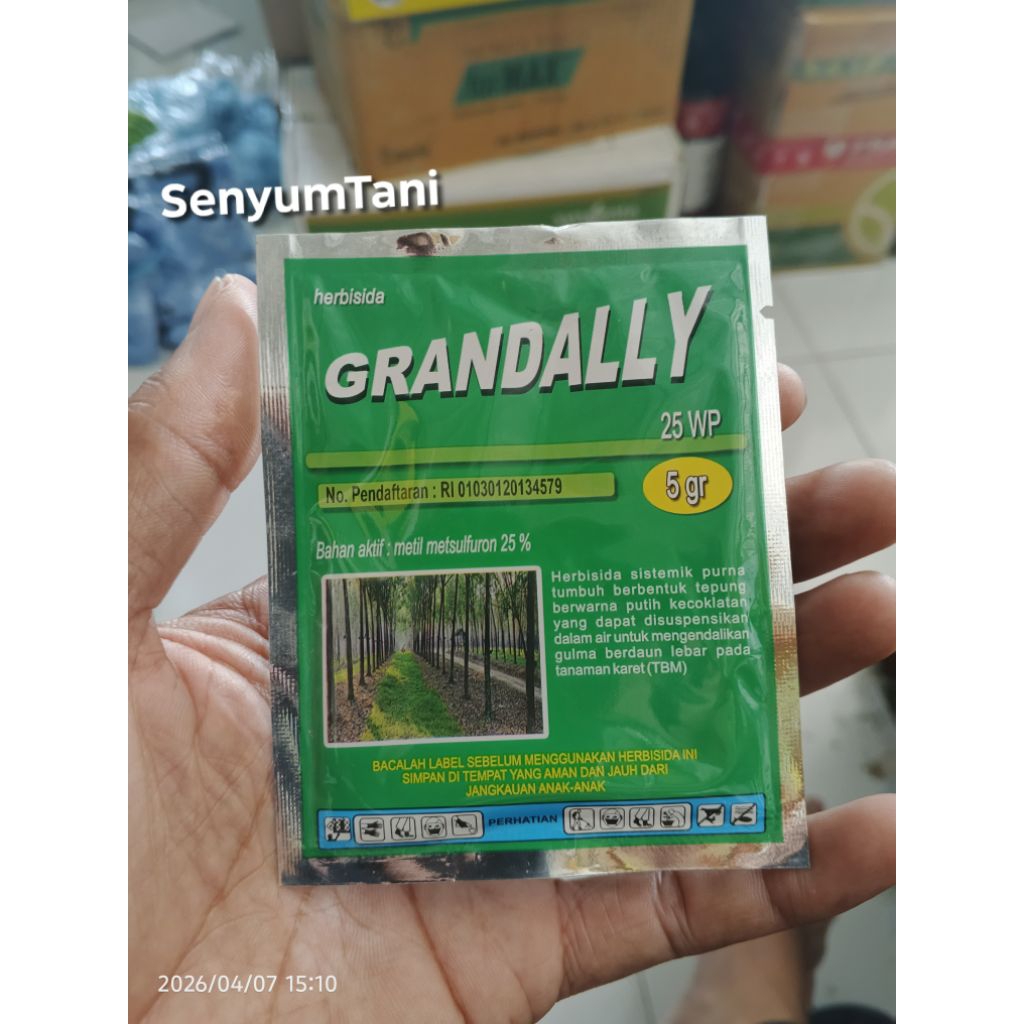 Herbisida GRANDALLY 25WP Metil metsulfuron