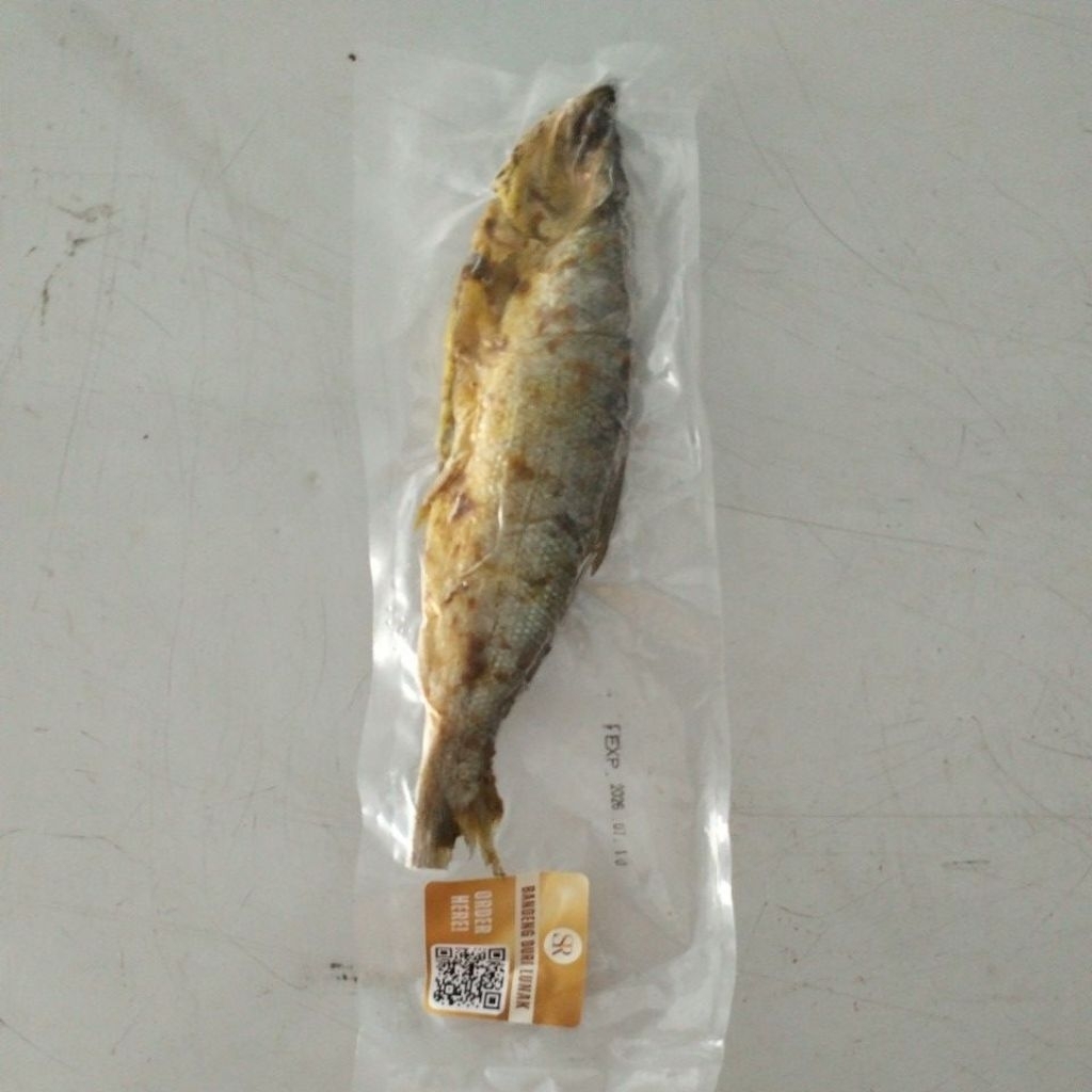 Ikan Bandeng Duri Lunak