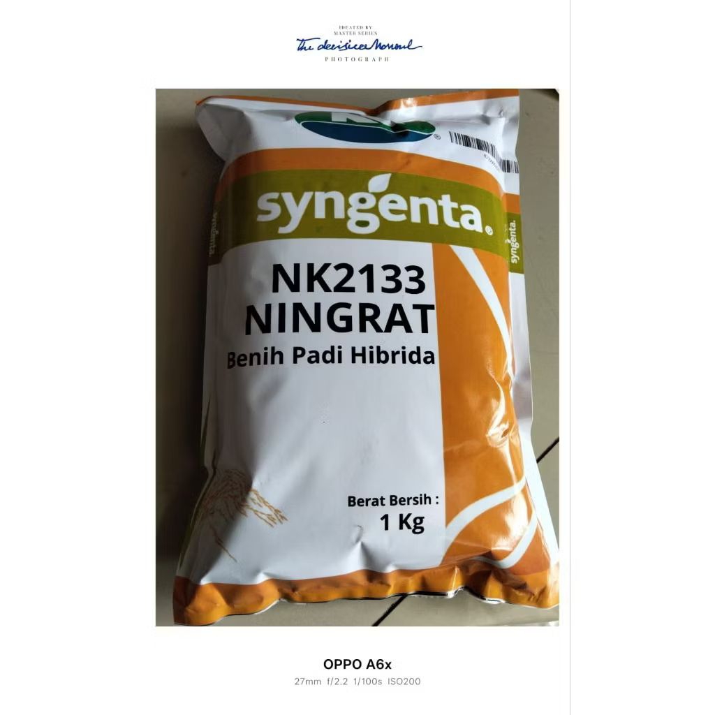 (1kg) Bibit Benih Padi Hibrida Ningrat Nk2133 Berkualitas Super