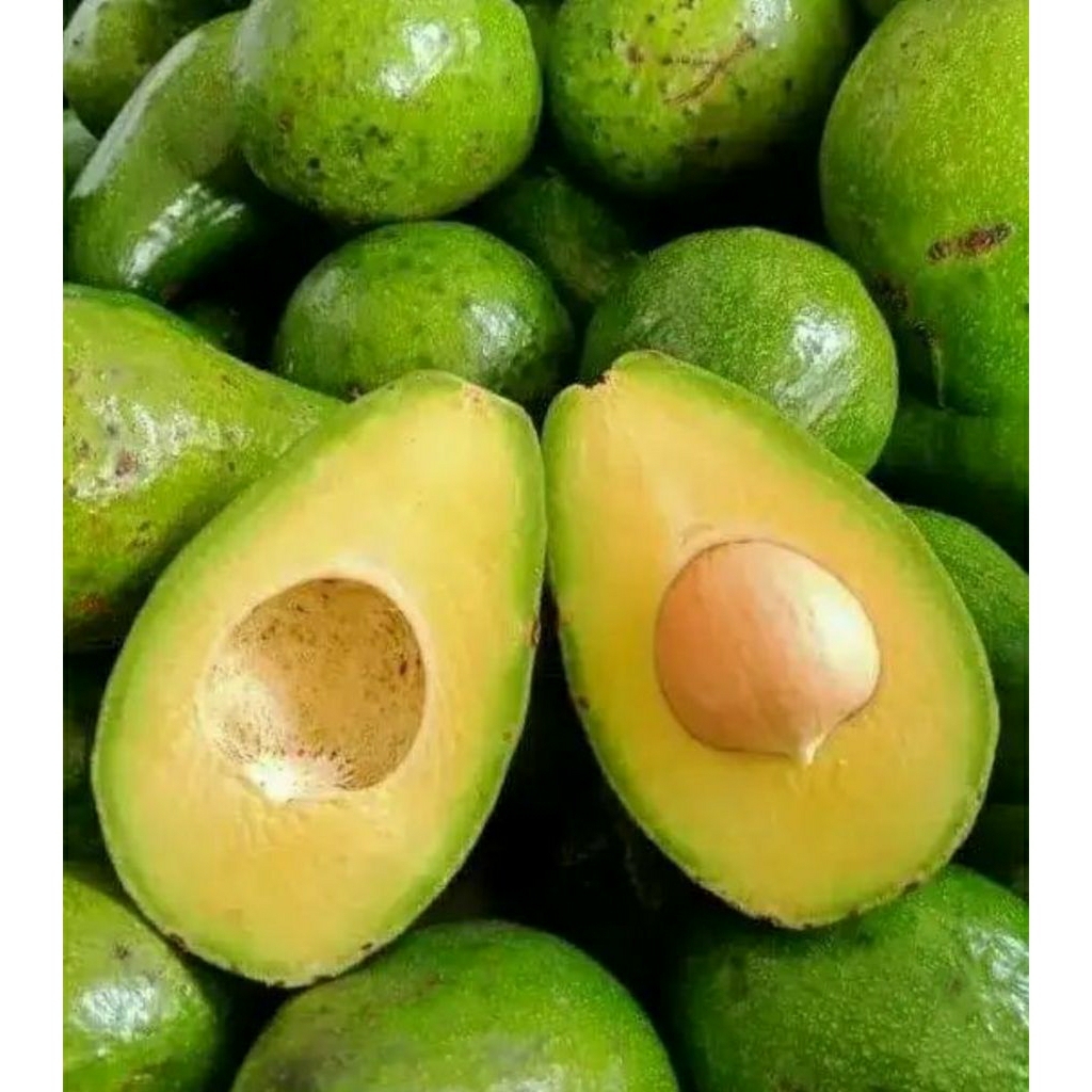 Alpukat Mentega - Jumbo