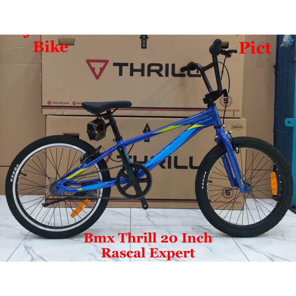 Sepeda Anak BMX 20 Inch Thrill Rascal Expert Frame Alloy