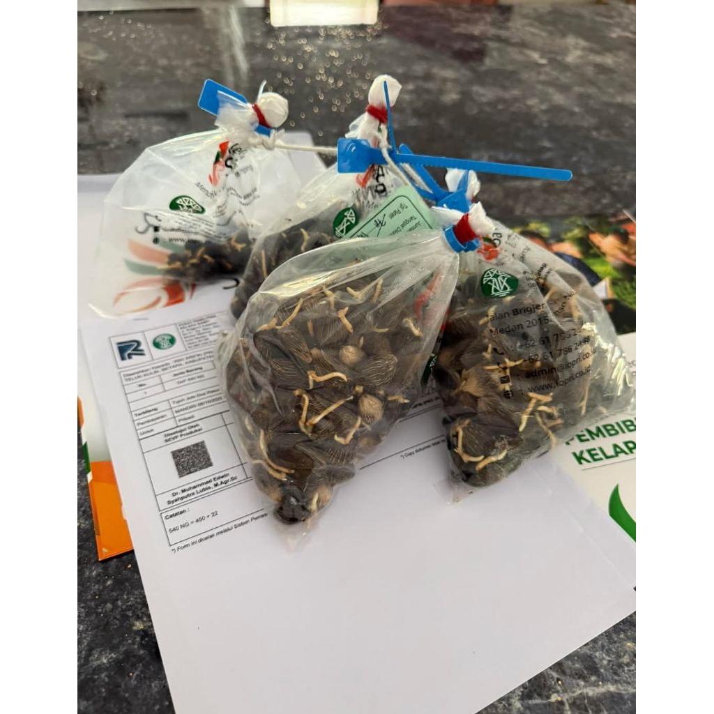 Sertifikat Ppks Yangambi