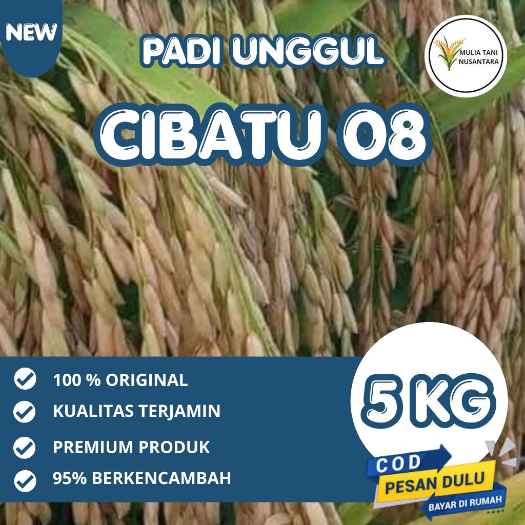 Benih Padi Cibatu 08 Terbaru Kemasan 5kg Original