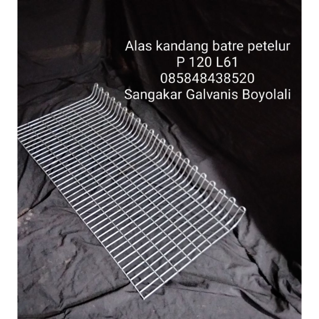 alas kandang batre ayam petelur